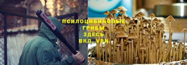 PSILOCYBIN Верхний Тагил