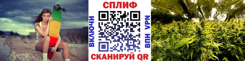 МАРИХУАНА SATIVA & INDICA Вятские Поляны